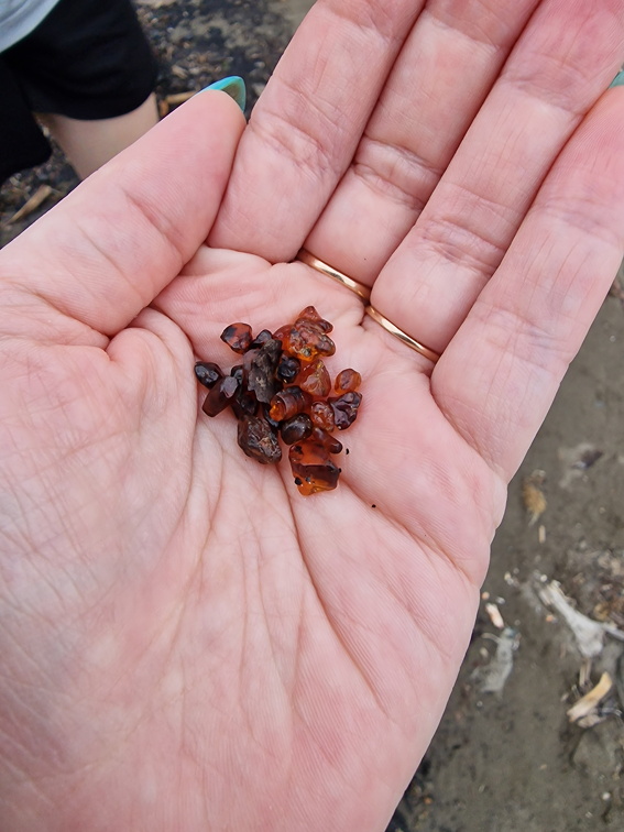 о.Сахалин, Янтарь